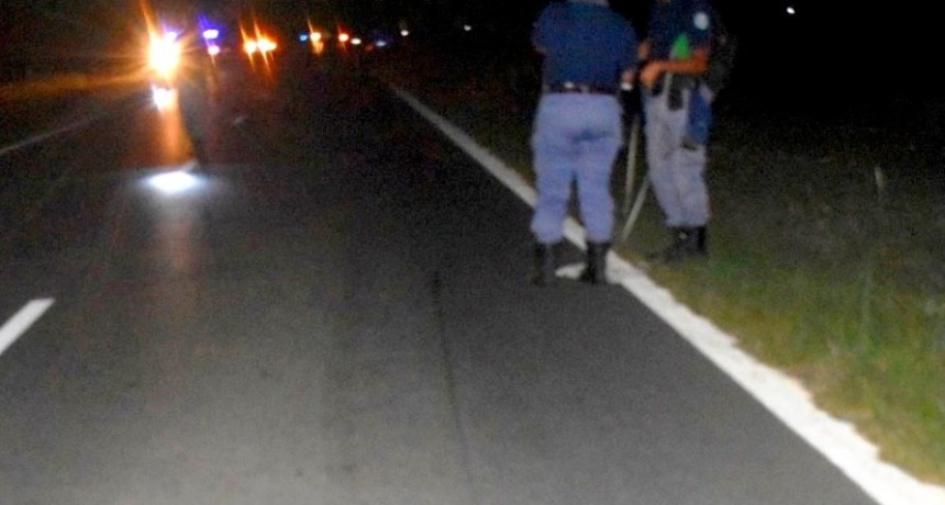 Un motociclista falleció en un siniestro vial en Palma Sola