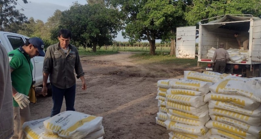 Entrega de fertilizantes a productores de banana, como parte del acompañamiento del Gobierno provincial