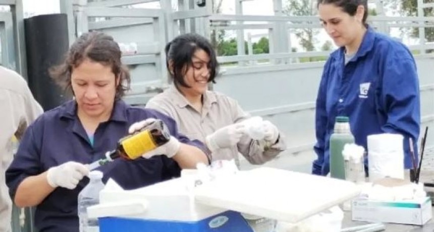 Veterinarios y estudiantes iniciaron pasantías y PPS en el CIT-Formosa