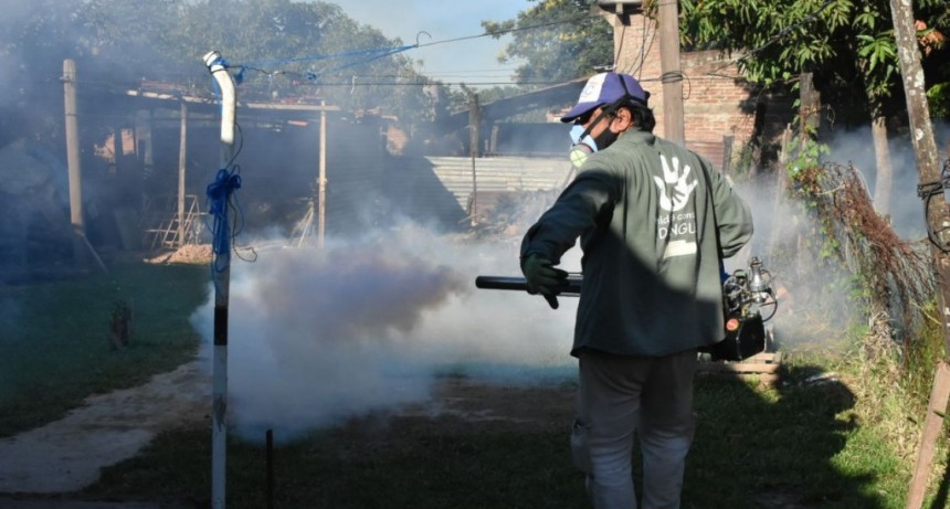 Dengue: Piden a la población permitir el ingreso de brigadistas a los hogares