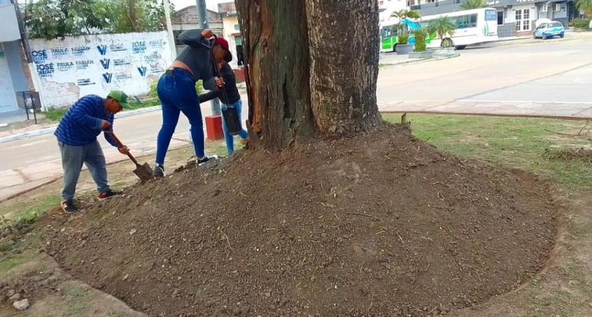 Múltiples trabajos de la comuna para mantener y embellecer espacios públicos en la ciudad