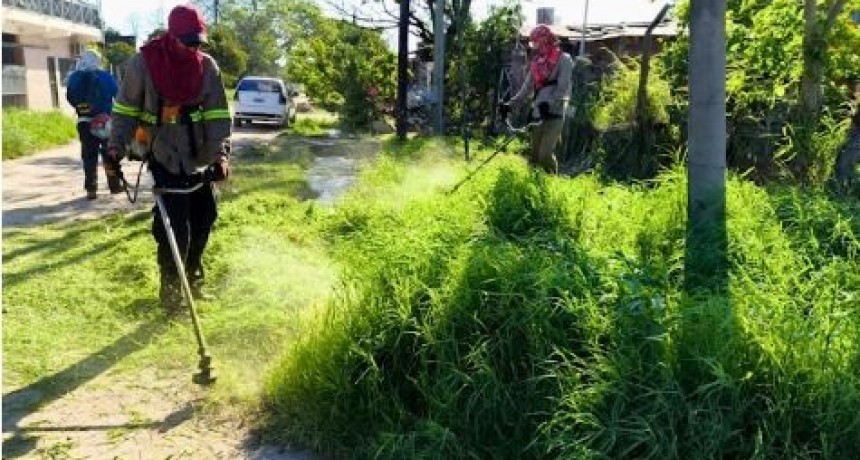 La comuna accionó en un vasto sector de la ciudad con el mantenimiento de espacios públicos