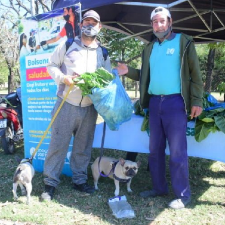 Esta semana bolsones saludables