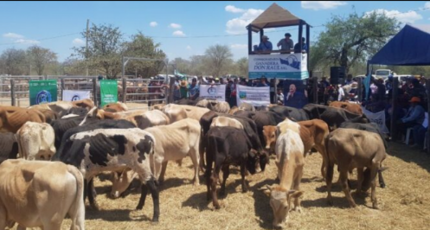 Casco destacó los buenos precios conseguidos por pequeños productores en remate de El Chorro