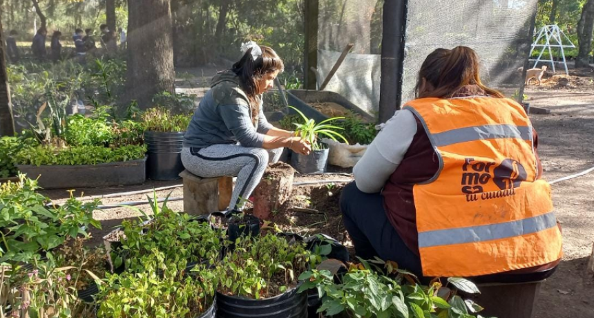 El domingo 1º Edición de la “Expo Viveros” en el Paseo de las Aves