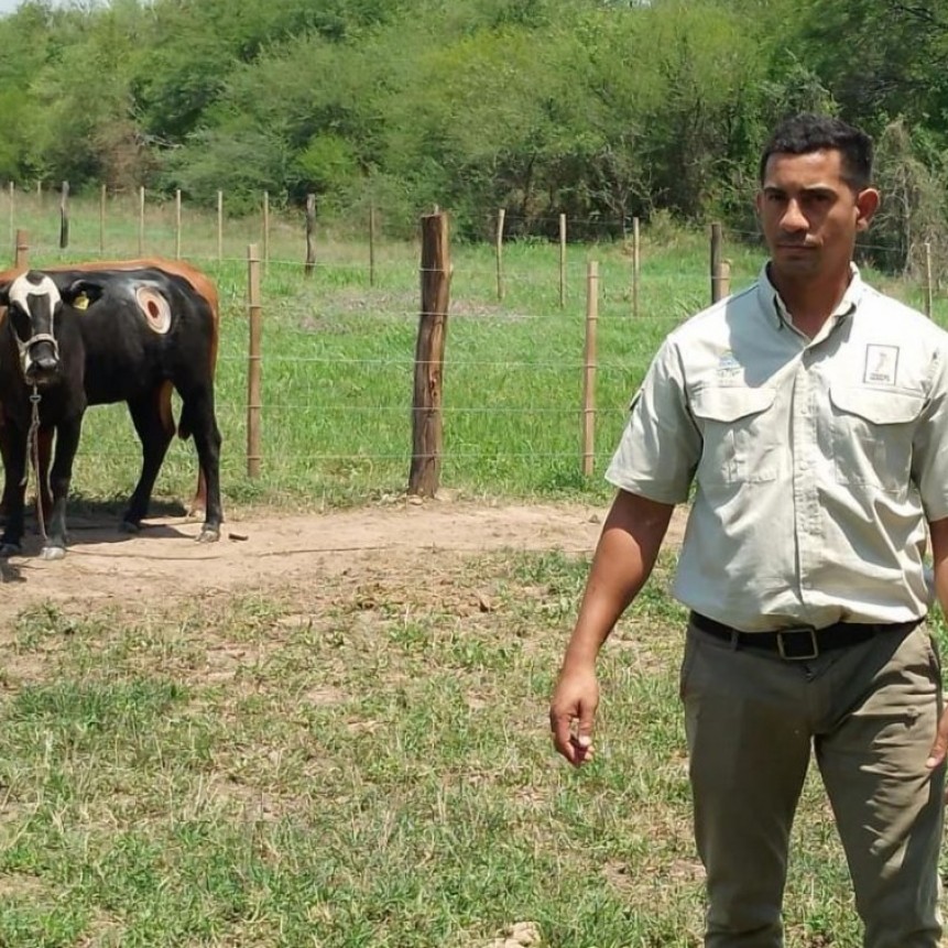 Evaluaron en CEDEVA recursos forestales para la alimentación del ganado del subtropico del país