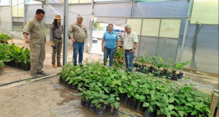 Brindarán asistencia técnica para proyectos productivos de frutales