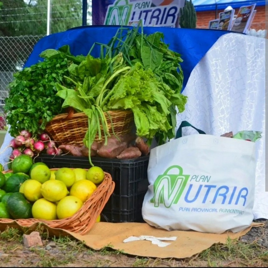 Destacan que los bolsones del Plan Nutrir ayudan a la economía familiar y a una alimentación saludable