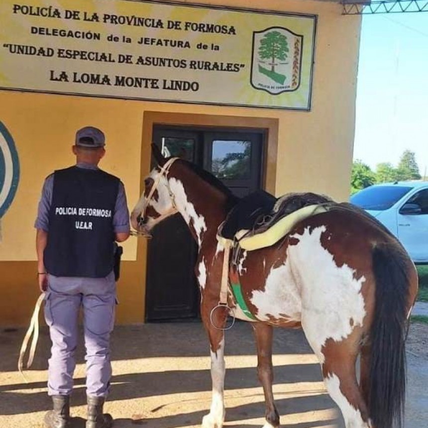 Robo varios objetos y fue descubierto con los elementos sustraídos en un festival ganadero
