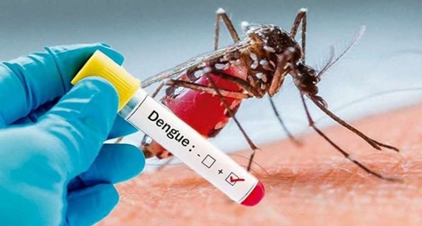Solicitan al Ministerio de Salud de Nación incluya la vacuna contra el dengue en el calendiario nacional