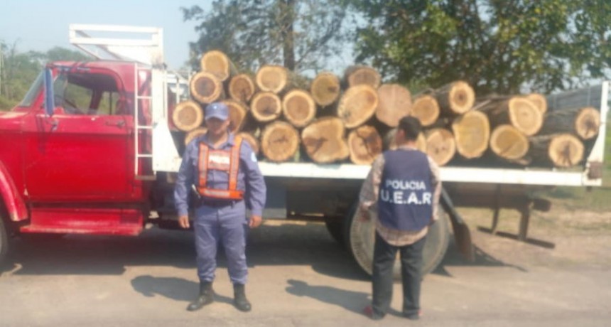 La Policía secuestró 28 rollos de madera en Ruta Provincial N° 3