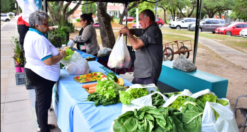Esta semana bolsones saludables en varios puntos de venta y con variedad de productos