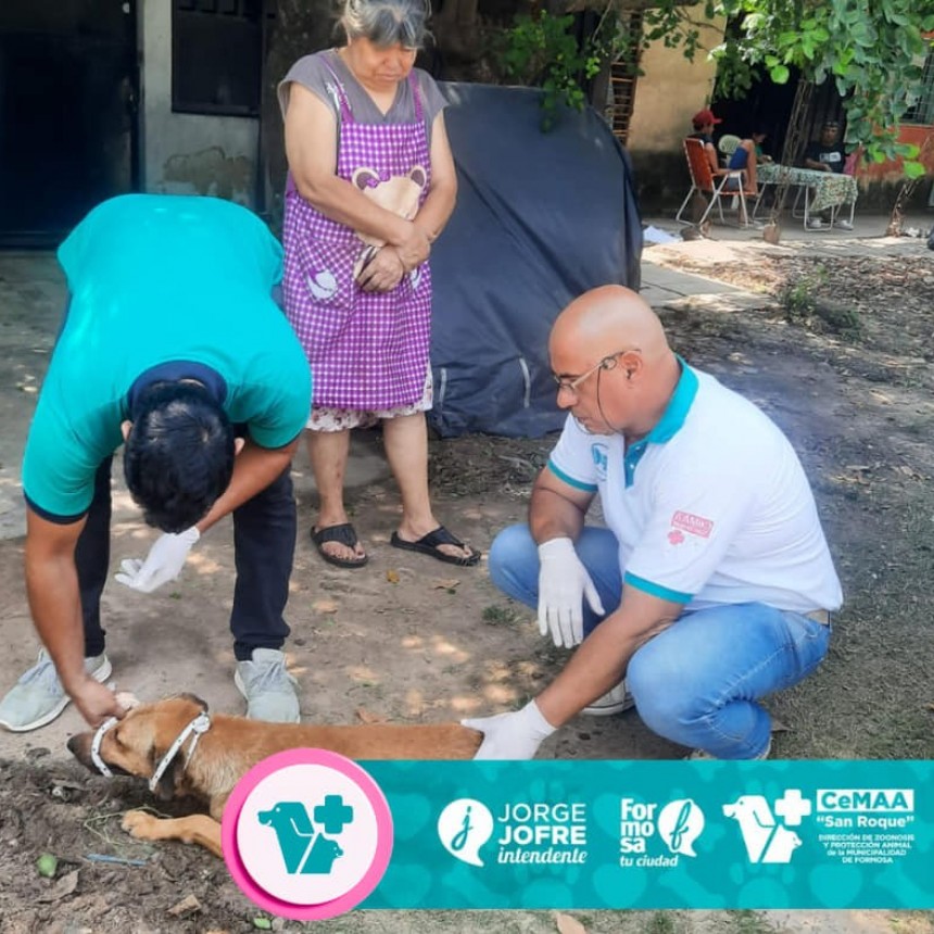 La Direccion de zoonósis y bienestar animal realizó atenciones externas en distintos barrios de nuestra ciudad. 