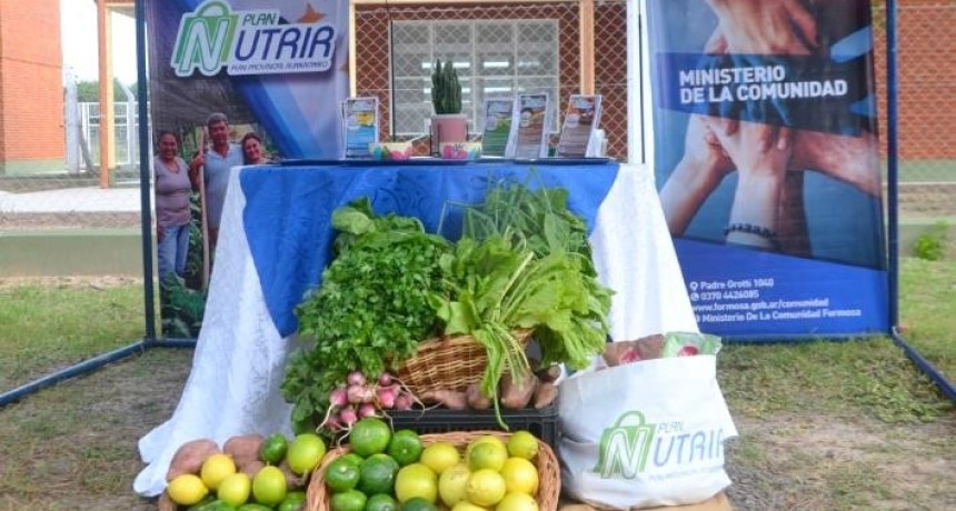 Los centros de distribución entregaron los bolsones del Plan Nutrir