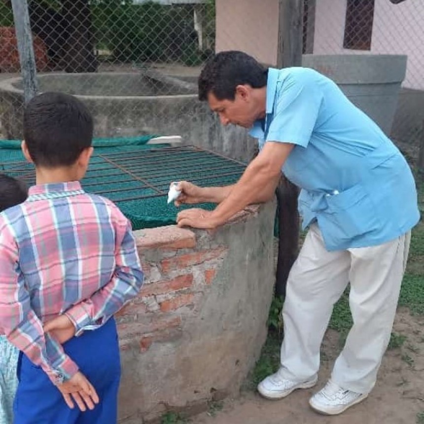 Las lluvias favorecen la proliferación del mosquito transmisor del dengue