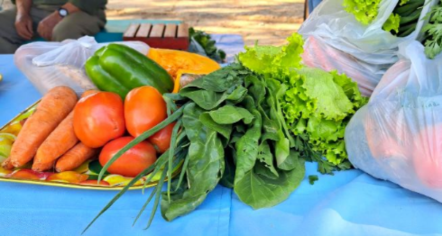 Los días jueves y viernes continuará la venta de bolsones saludables