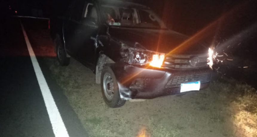 Un caballo se cruzó en plena Ruta Nacional 81 y causó un choque con una camioneta