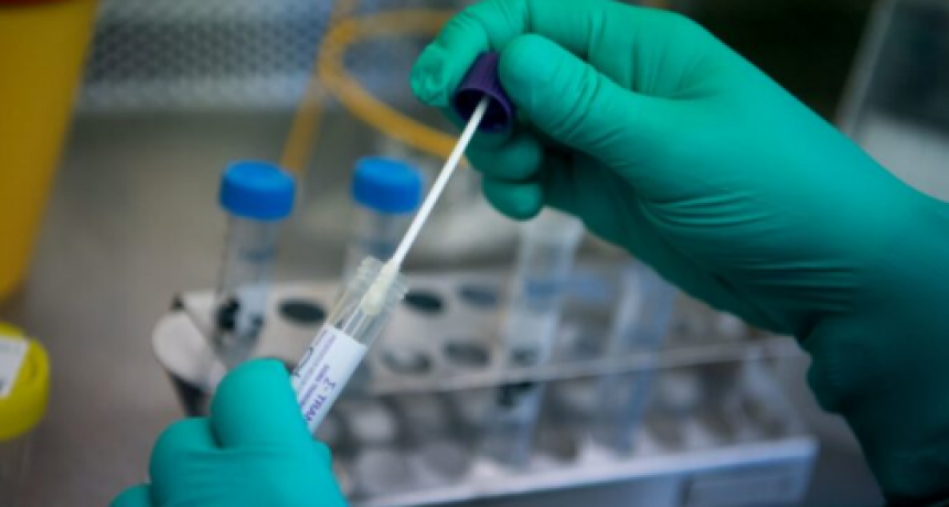 COVID-19: En la última semana se diagnosticaron más de 700 casos