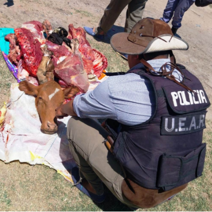 Secuestraron productos cárnicos y un automóvil