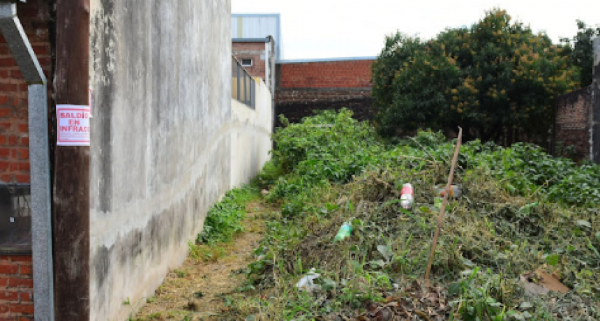 La Municipalidad solicita a los vecinos mantener la limpieza de los terrenos baldíos y parterres para crear un ambiente saludable
