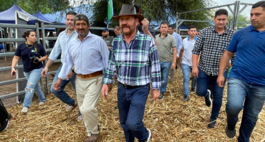 El gobernador Insfrán encabezó la apertura del 9° Remate de Invernada de Productores del Bañado La Estrella