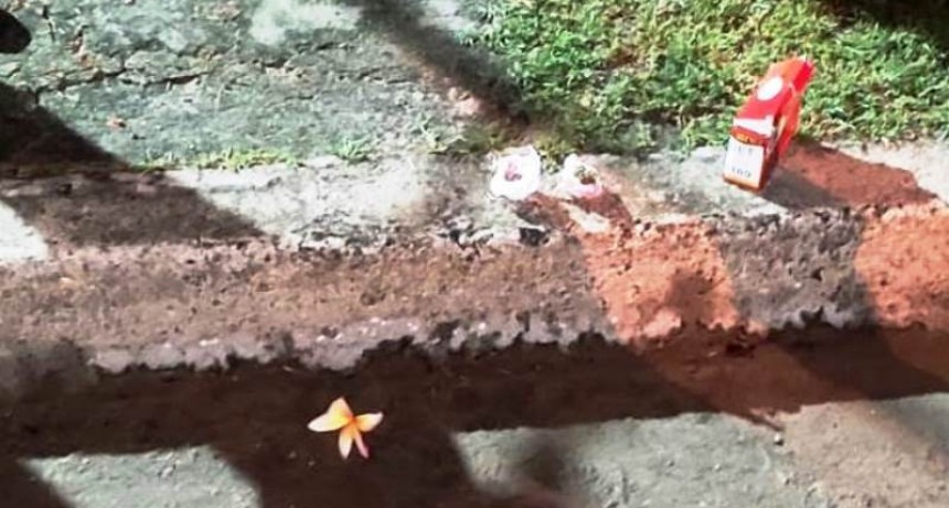 Secuestraron marihuana en Formosa y Estanislao del Campo