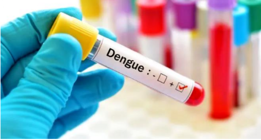 Igualando las cifras de la semana anterior los casos de dengue se mantuvieron en el último conteo registrado