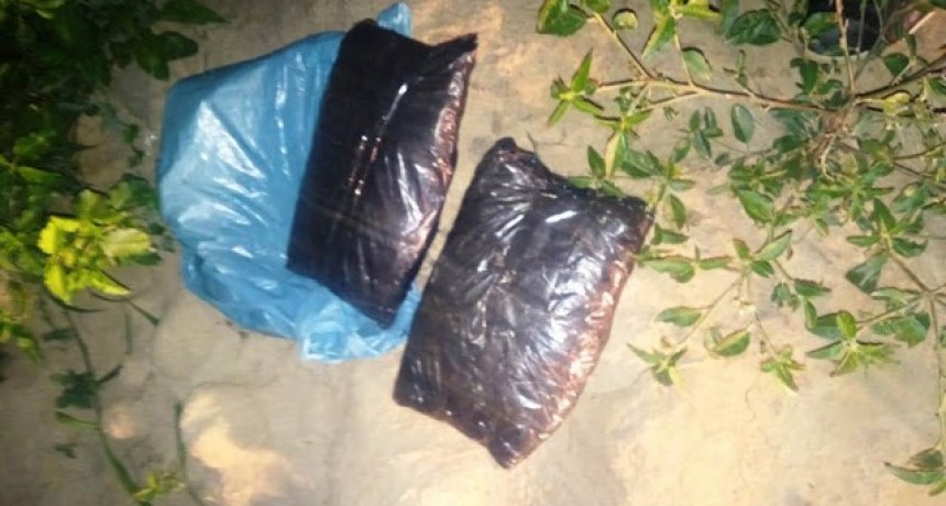 La Policía secuestró marihuana apta para la elaboración de unas 1.368 dosis en la localidad de General Belgrano