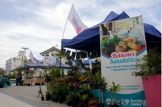 Nueva semana de bolsones saludables: precios populares y productos locales