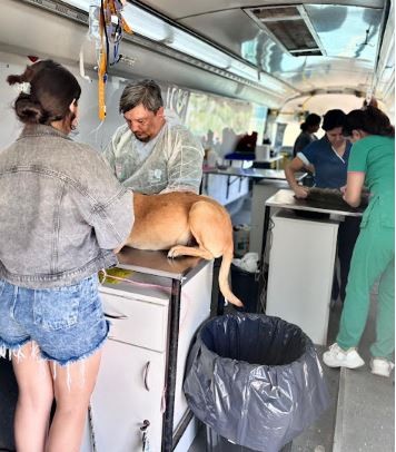 Se realizó operativo de castración y atención veterinaria en el Simón Bolívar