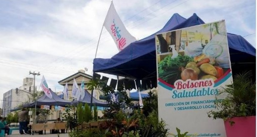 Nueva semana de bolsones saludables: precios populares y productos locales