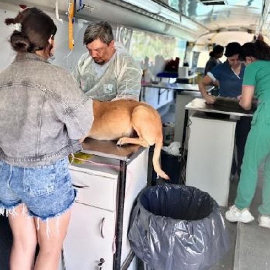 Se realizó operativo de castración y atención veterinaria en el Simón Bolívar