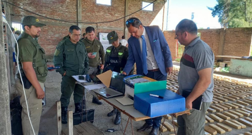 Tras dos allanamientos detienen a cuatro personas y decomisan 990 kilos de marihuana en la ciudad de Formosa