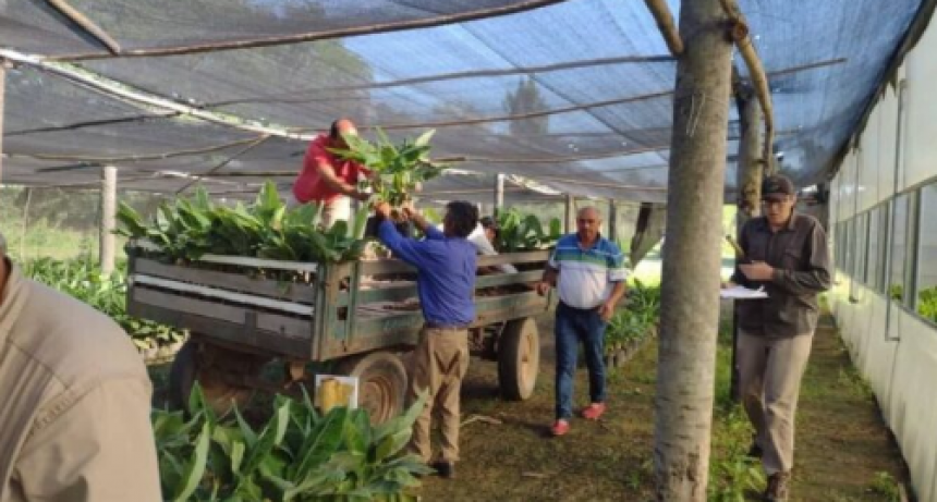 Este sábado, Riacho He Hé realizará la Feria de Pequeños Productores