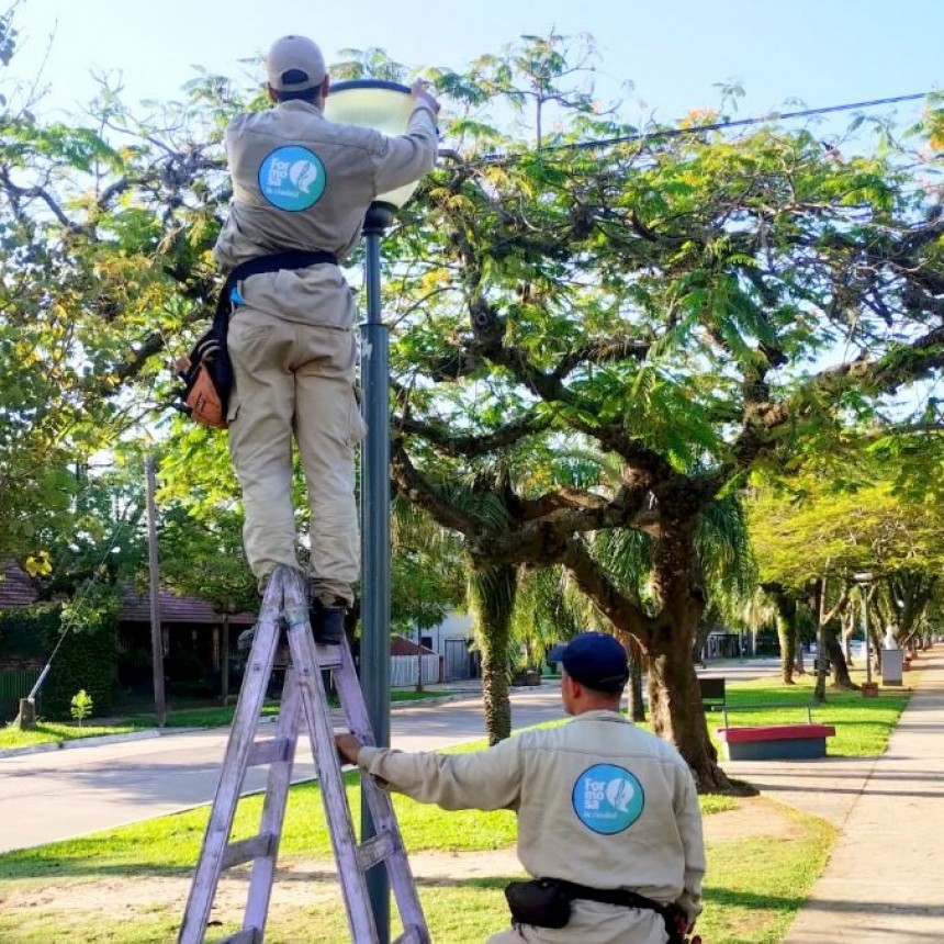Activa intervención comunal para el mantenimiento de la red de alumbrado público en toda la ciudad
