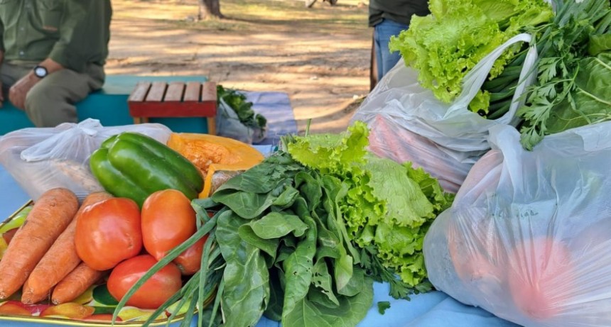 De martes a viernes habrá Bolsones Saludables a muy buen precio