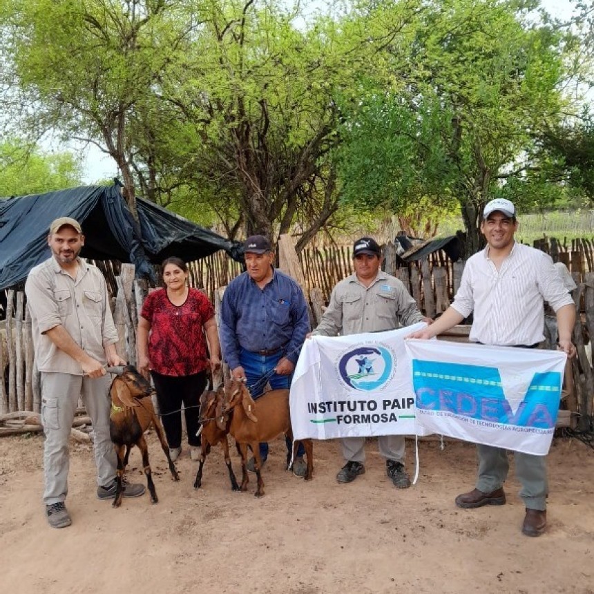 Concretaron asistencia a productores caprinos de Los Chiriguanos