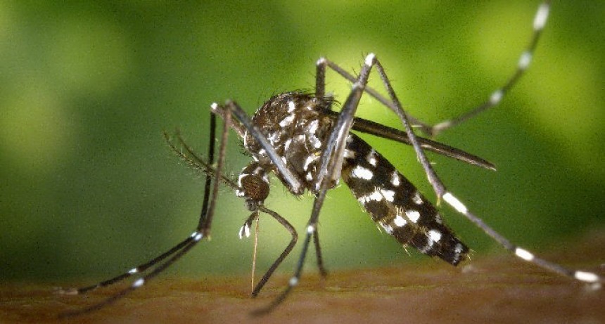 Clorinda: Fortalecen acciones en la lucha contra el dengue