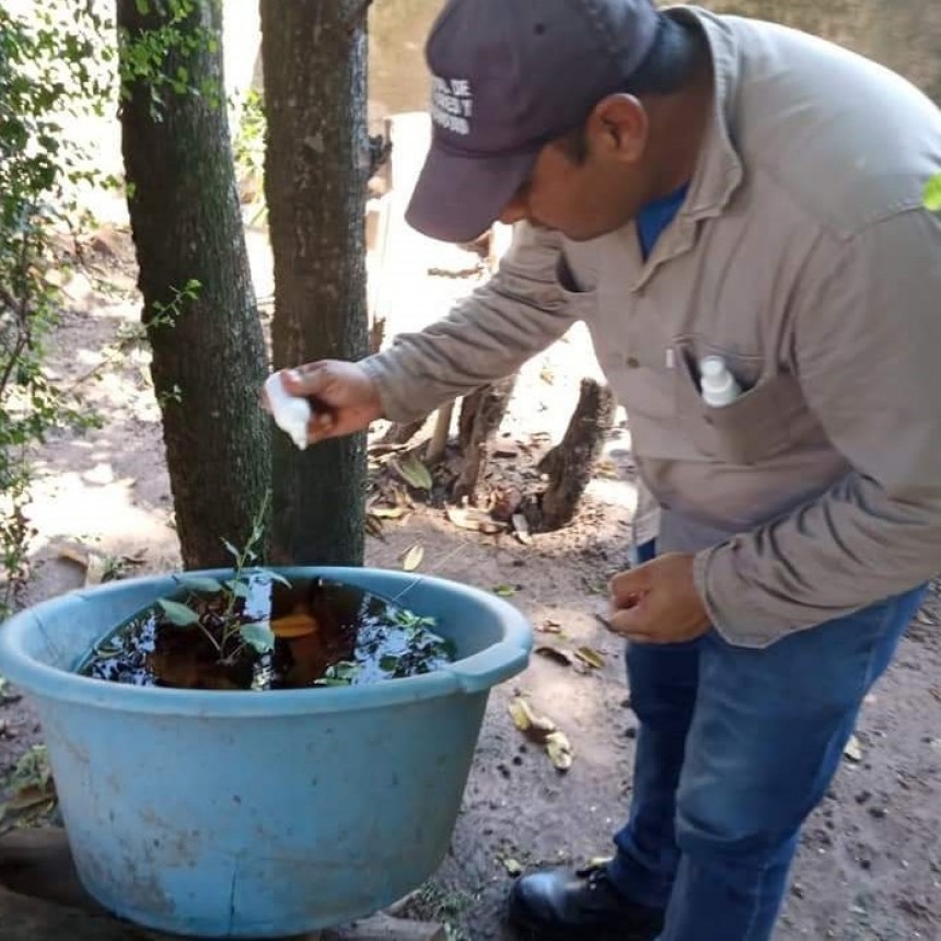 Dengue: Instan a los vecinos a usar el larvicida Bacivec