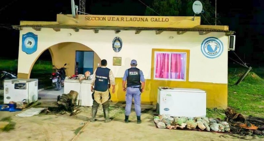 Allanamientos por sustracción de animales vacunos en Tres Lagunas