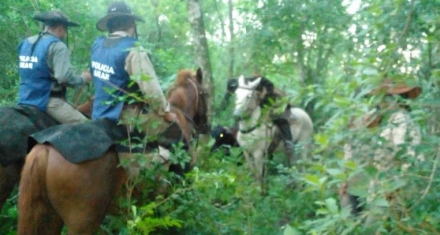 Tras amplia investigación, la UEAR recuperó un animal y detuvo al puestero de la estancia