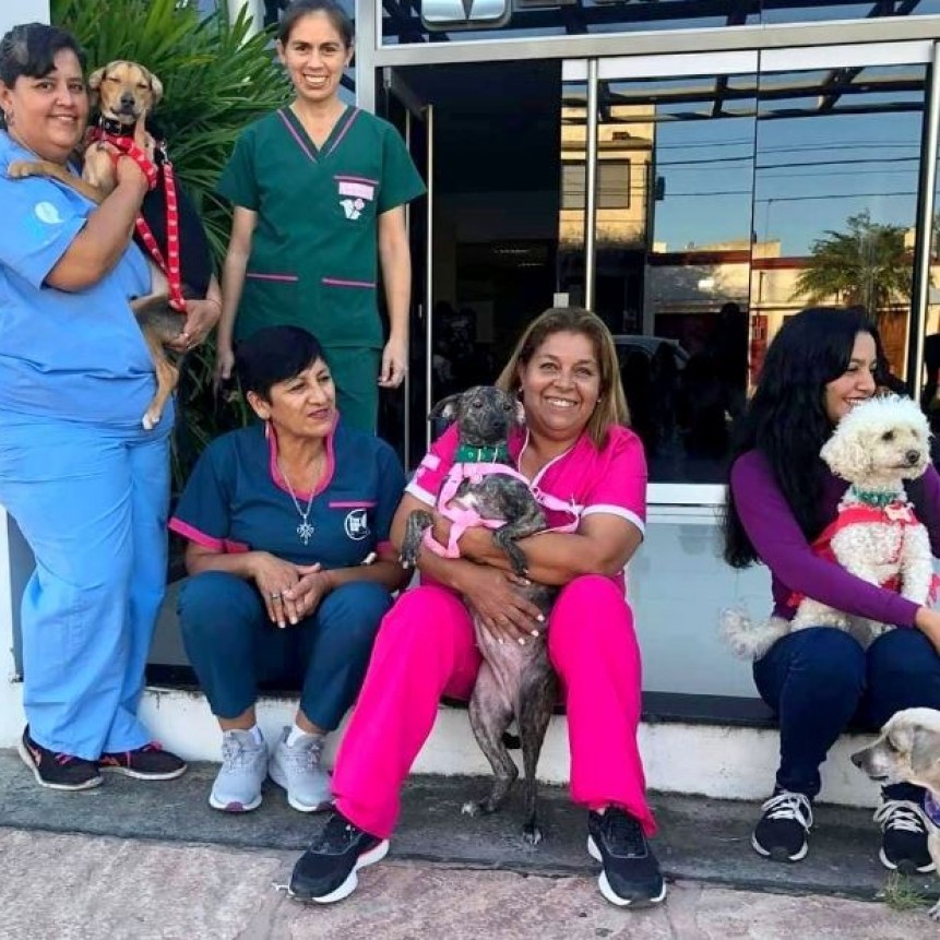 Promueven una fiesta de Año Nuevo con mayor empatía y menos ruido