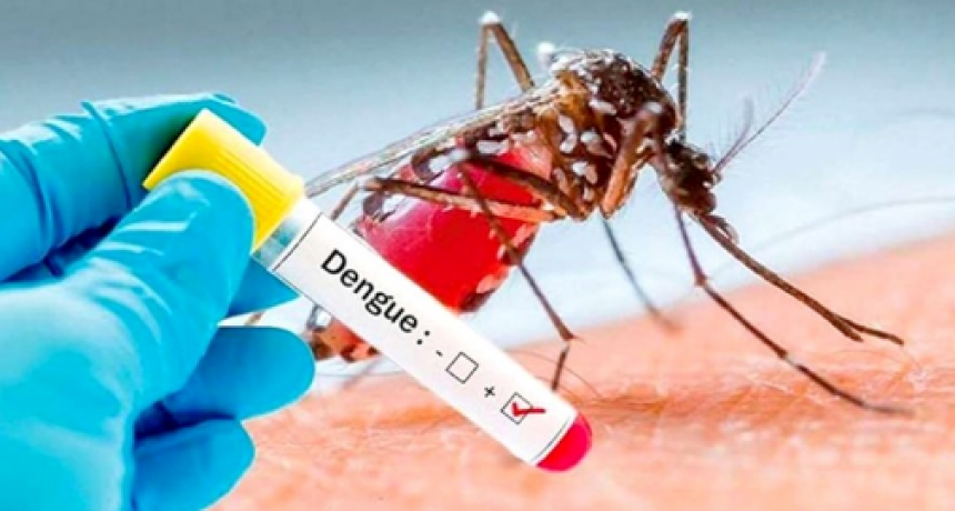 PARTE INFORMATIVO PROVINCIAL  ESTRATEGIA DE GESTION INTEGRADA DE DENGUE 