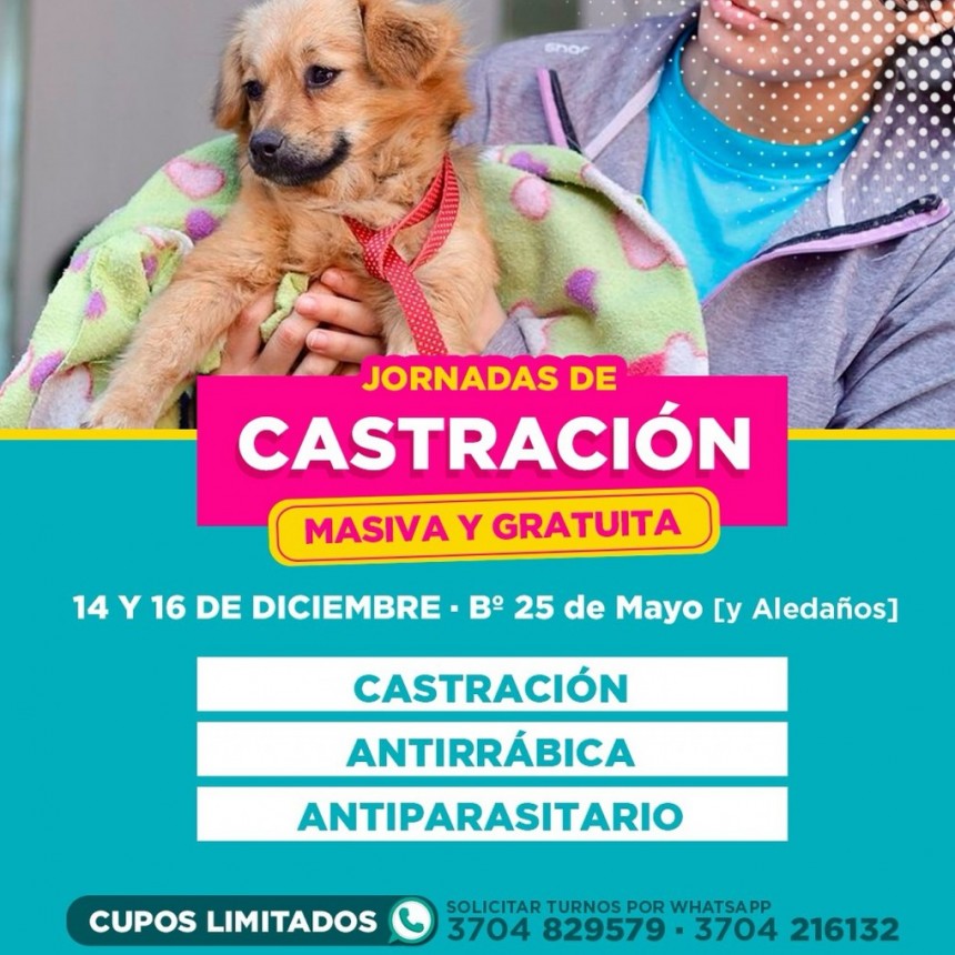 CASTRACIÓN MASIVA en el B° 25 de Mayo y zonas aledañas