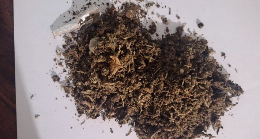 Detuvieron a dos sujetos con varios gramos de marihuana